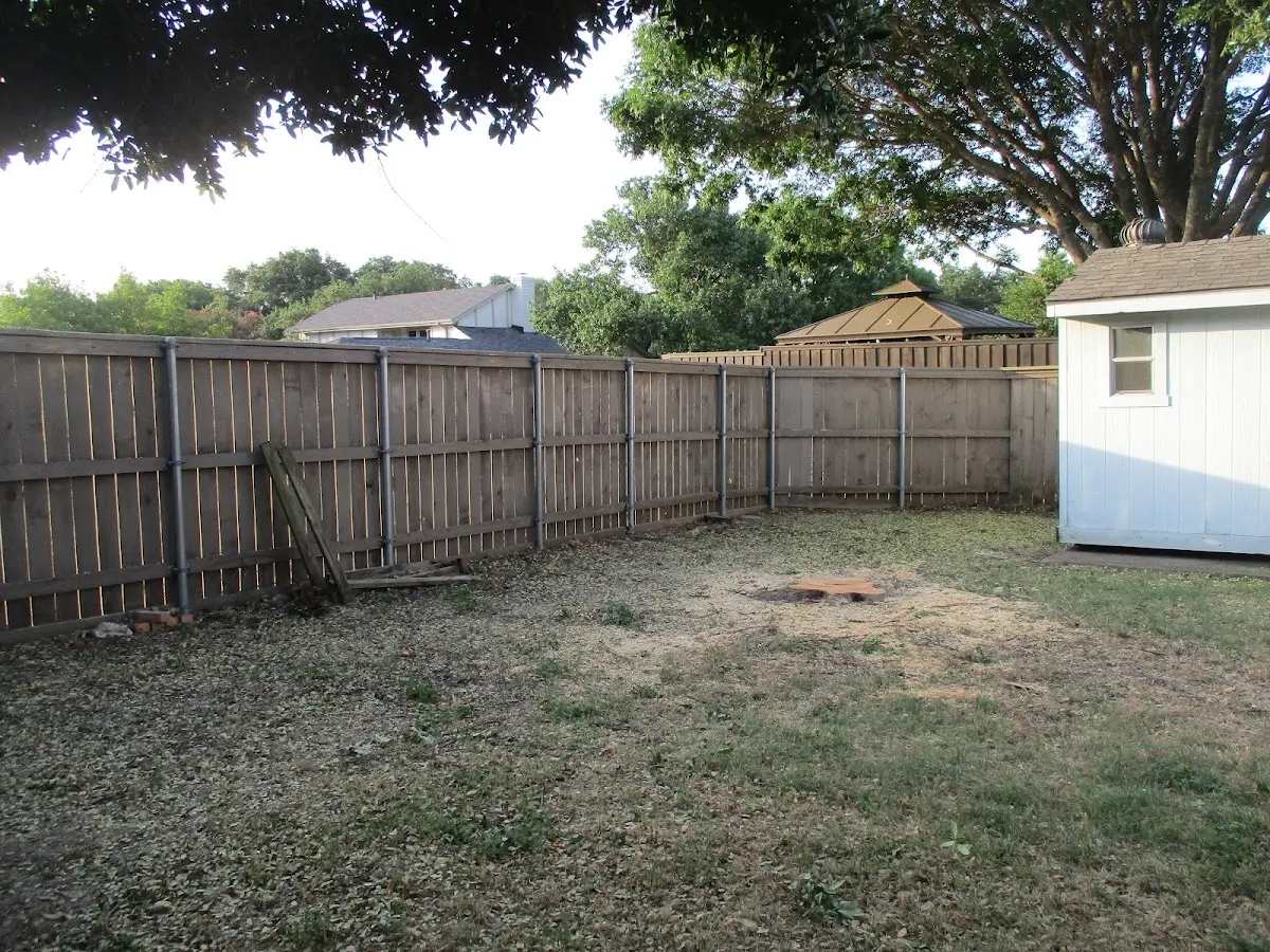 Cleared yard after professional tree removal in Lenoxville